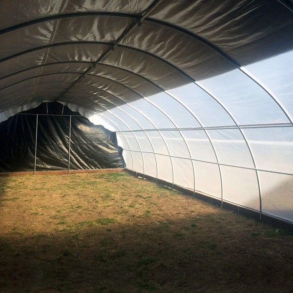 Jiggly Greenhouse® Zebra Black/White Plastic Greenhouse Light Deprivation Film (4-Year, 6 Mil) - 48 ft. x 190 ft.