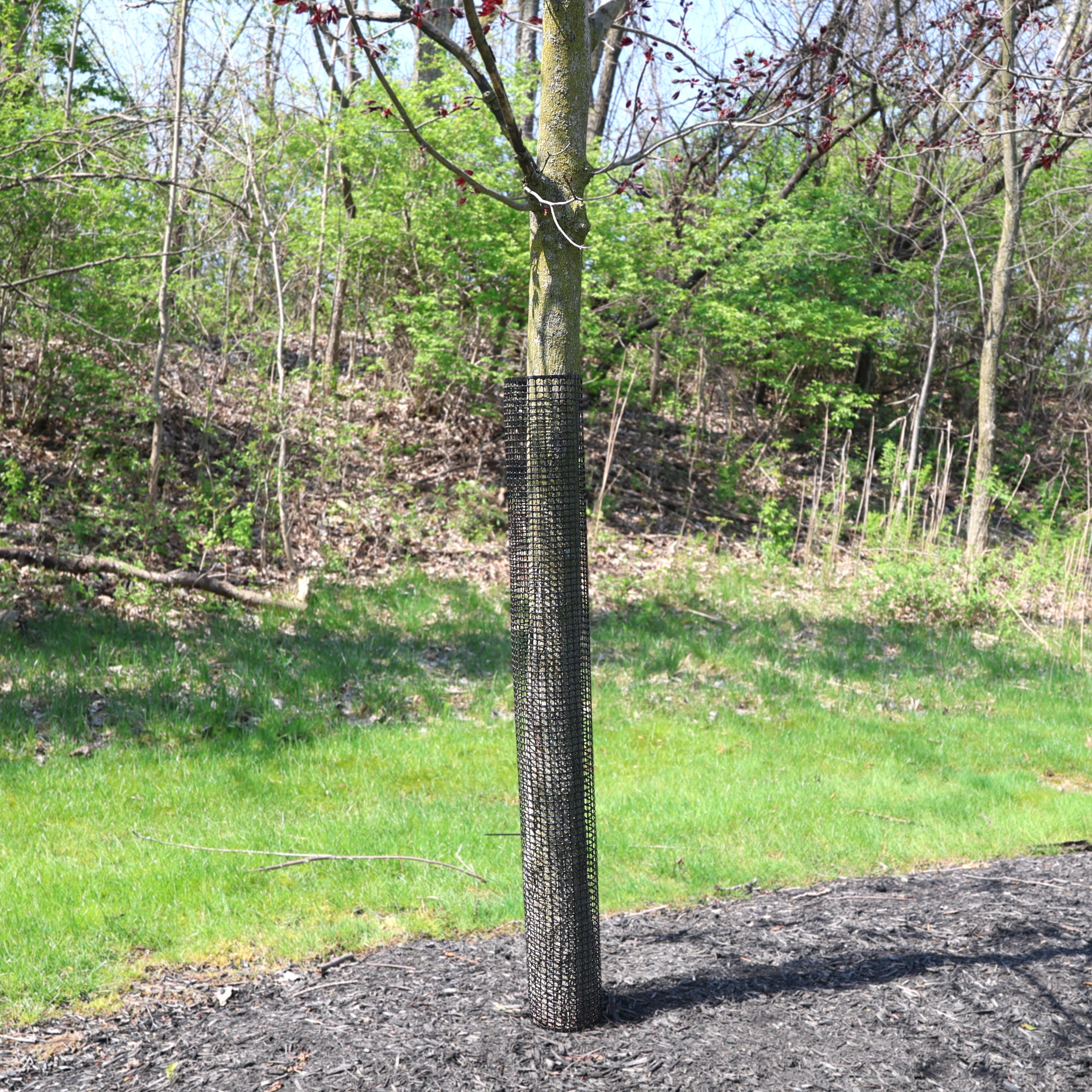 Rigid Mesh Tree Guard for Tree Trunk Protection | 48