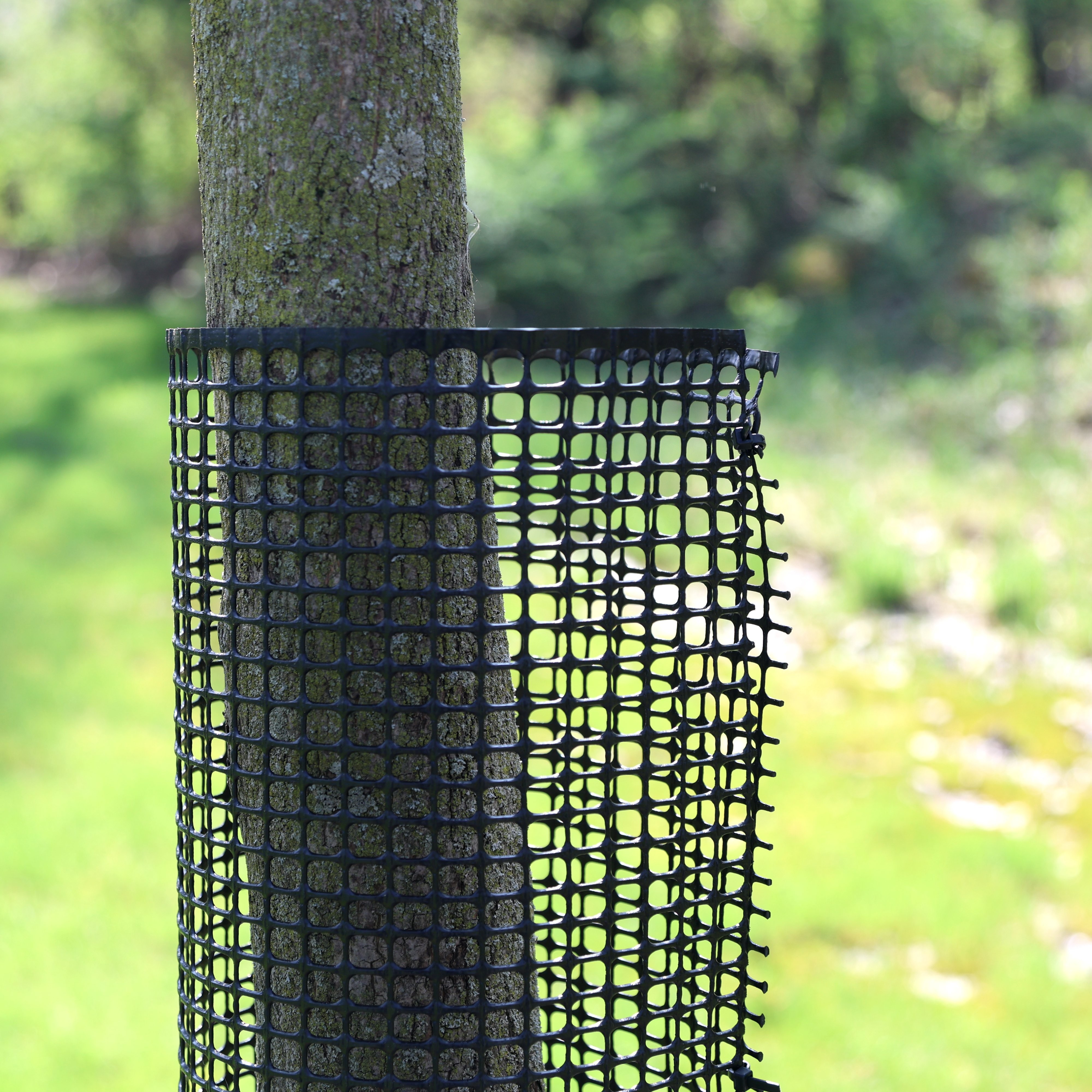 Tree Protection Bush Rigid Mesh Tree Guard for Tree Trunk Protection | 60