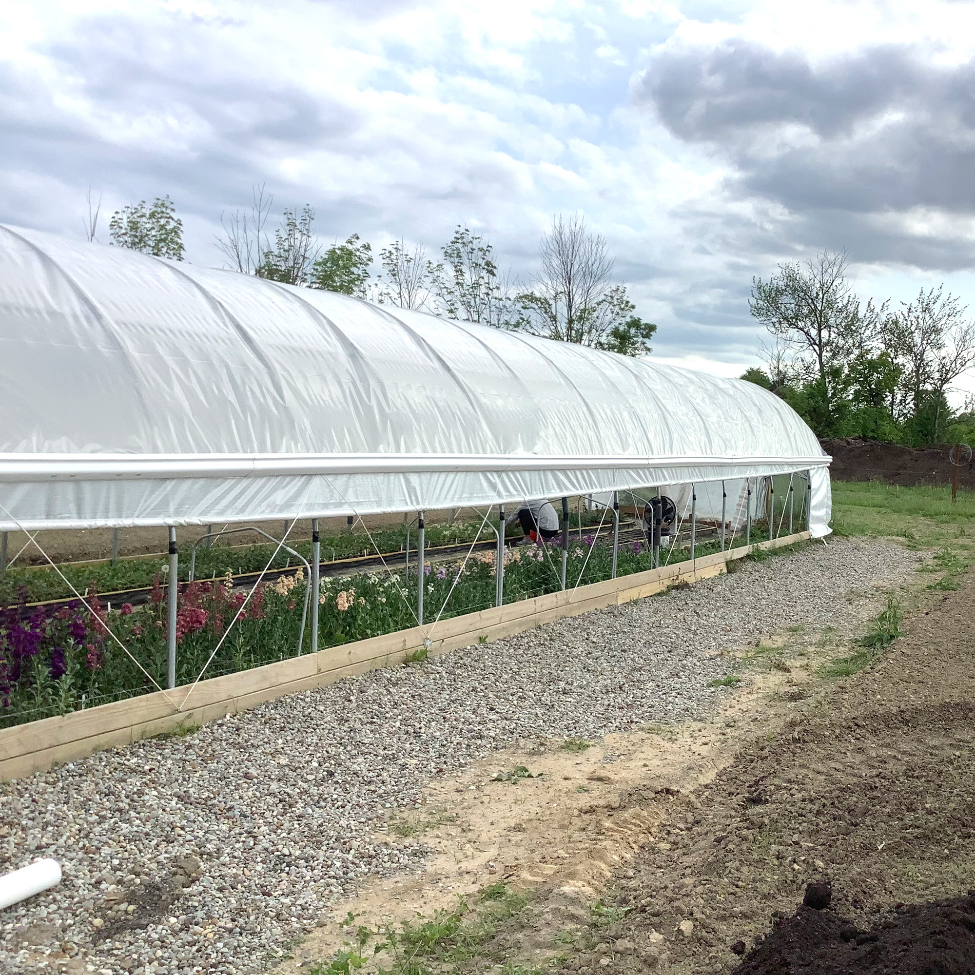 Concrete Slab For Greenhouse Installation