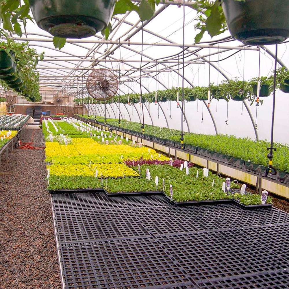 Fall greenhouse organization