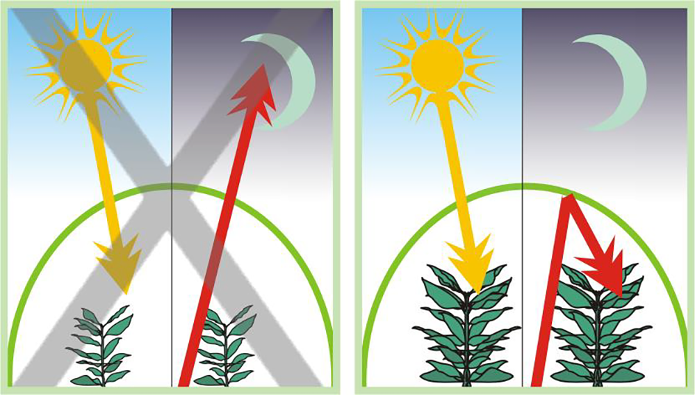 Diagram of greenhouse light thermicity