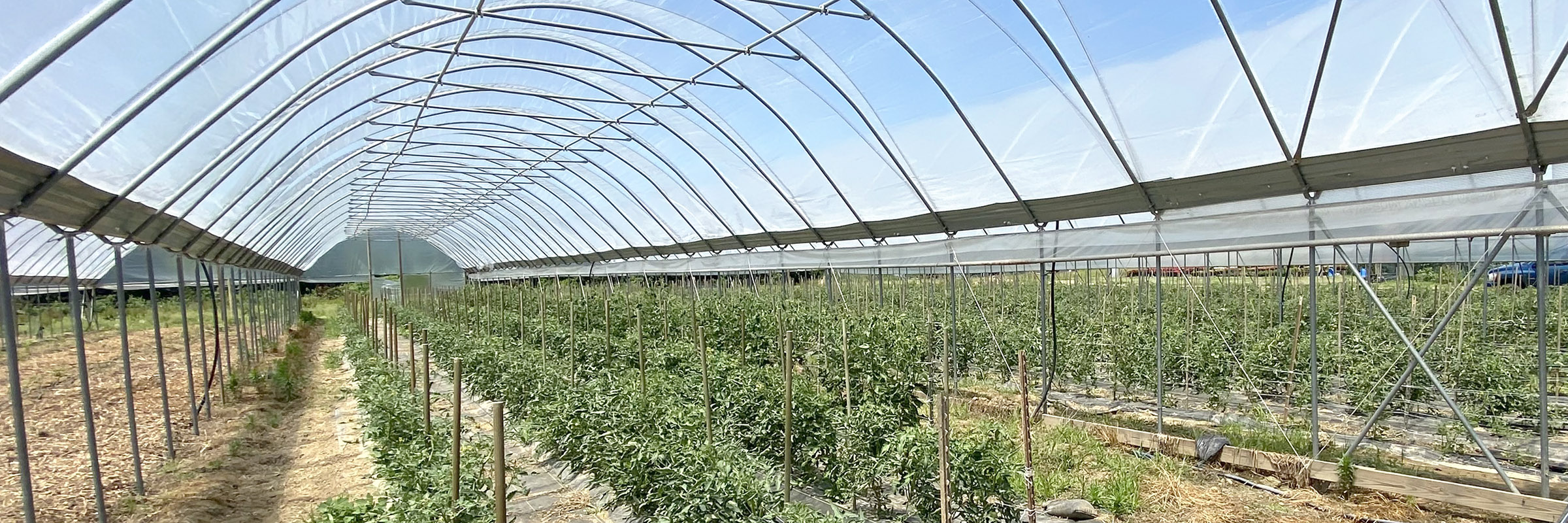 Monarch Farm Greenhouse Utah