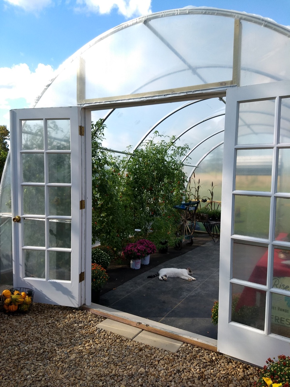 Greenhouse End Wall Installation