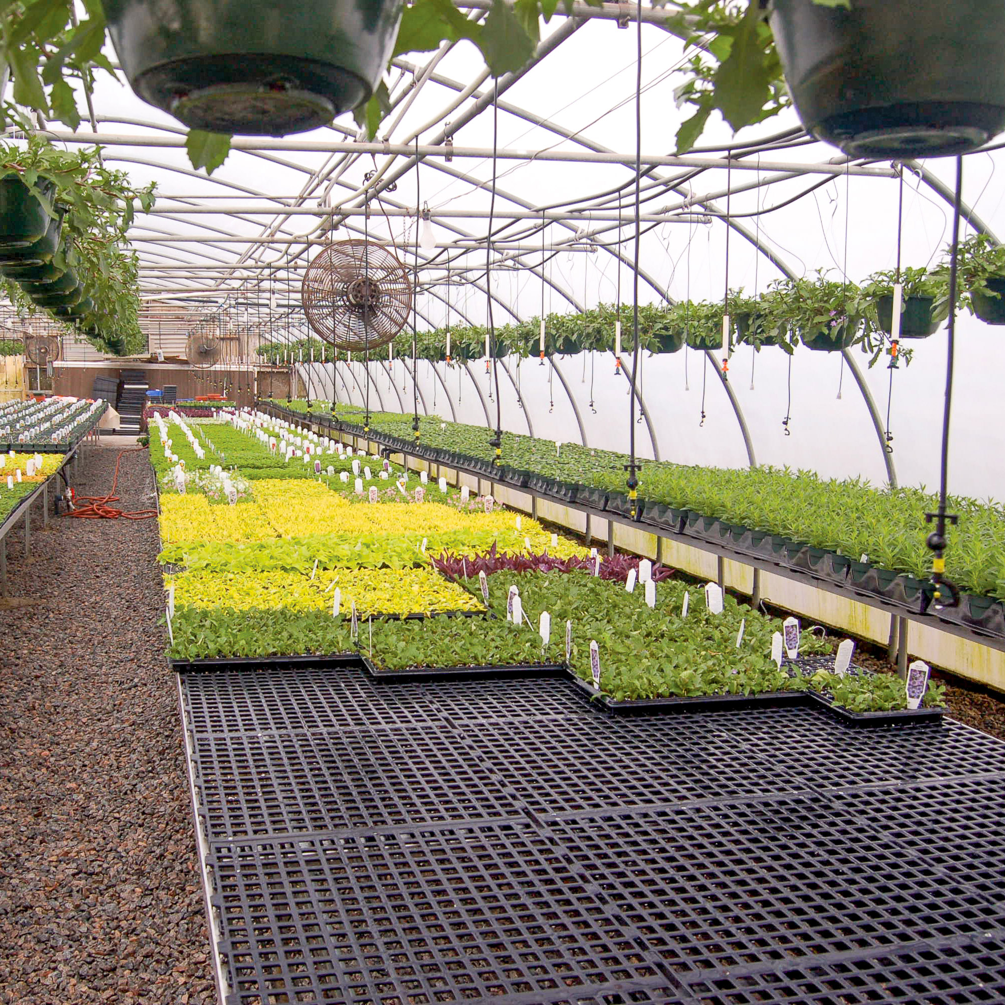 Greenhouse Bench Toppers