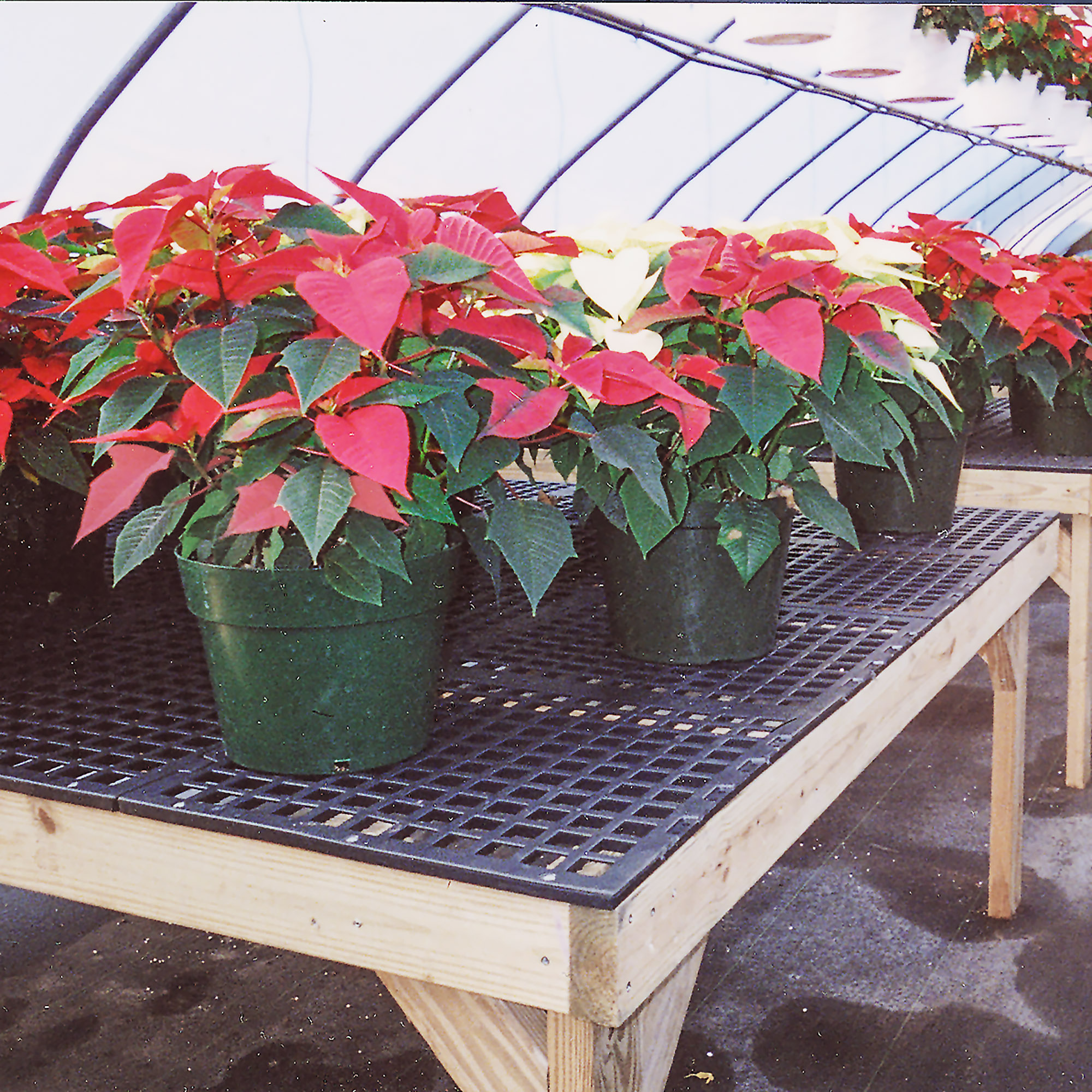 Greenhouse Bench Top