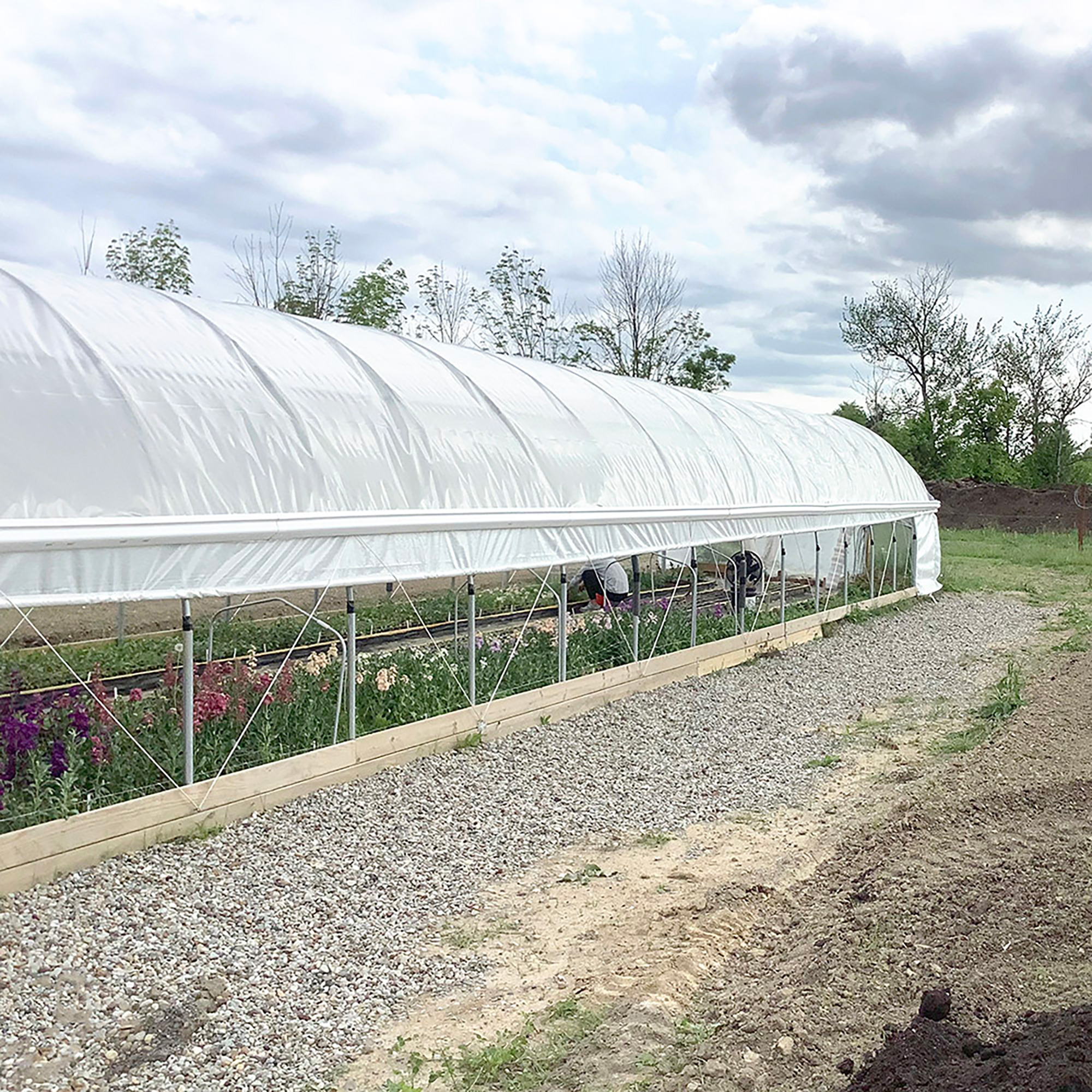 Jiggly Greenhouse® DIY Greenhouse Kit Installation