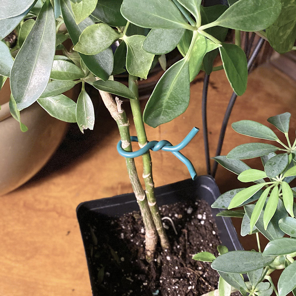 Jiggly Greenhouse® Soft Touch Twist Ties
