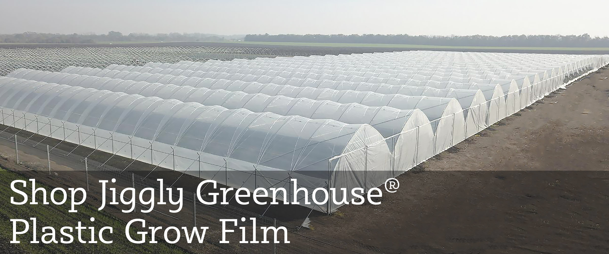 Check Out Our Jiggly Greenhouse Poly Plastic Greenhouse Grow Film!