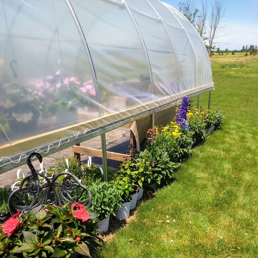 Spring greenhouse maintenance