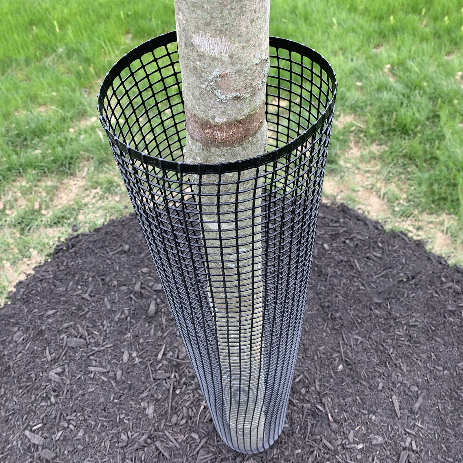 48 Tall Rigid Mesh Tree Guard For 6 Diameter Tree [1/2 Sq. Mesh] - Tree  Trunk Protection (Plastic) Jiggly Greenhouse®