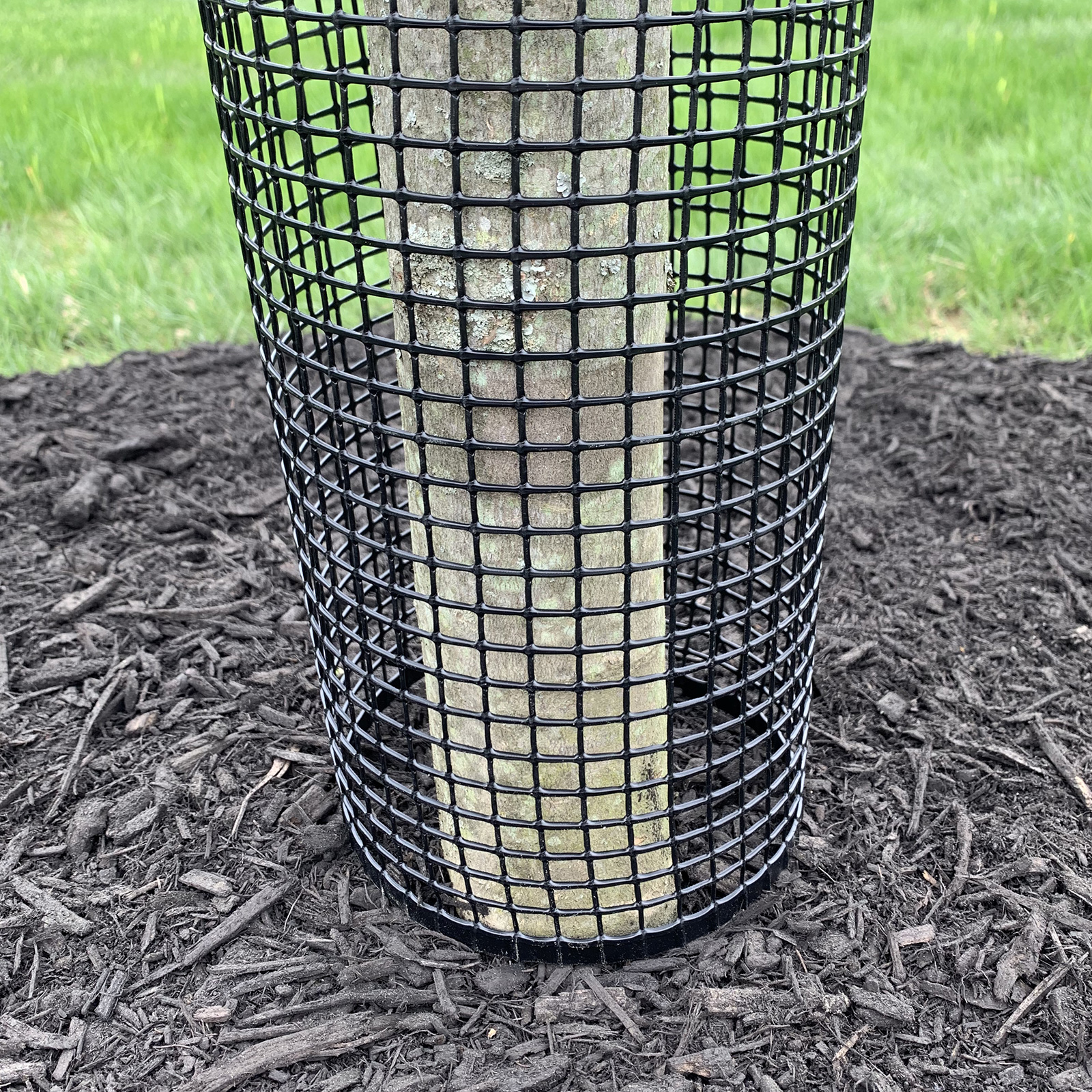 24 Tall Rigid Mesh Tree Guard For 4 Diameter Tree [12 Sq. Mesh 