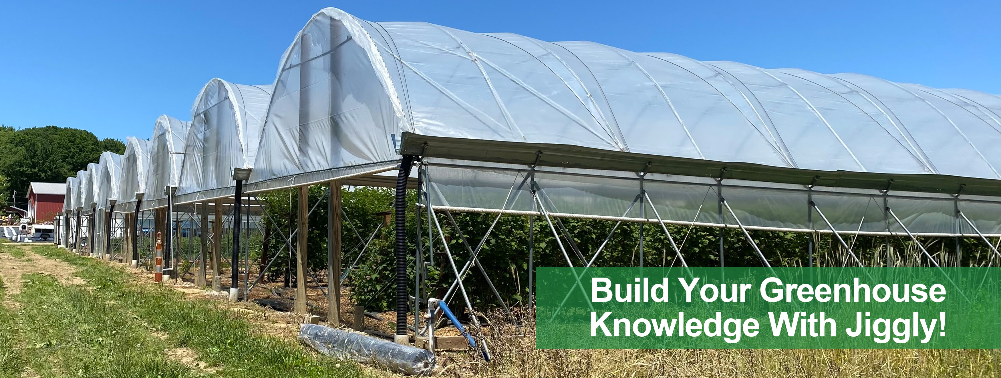build your greenhouse knowledge with jiggly