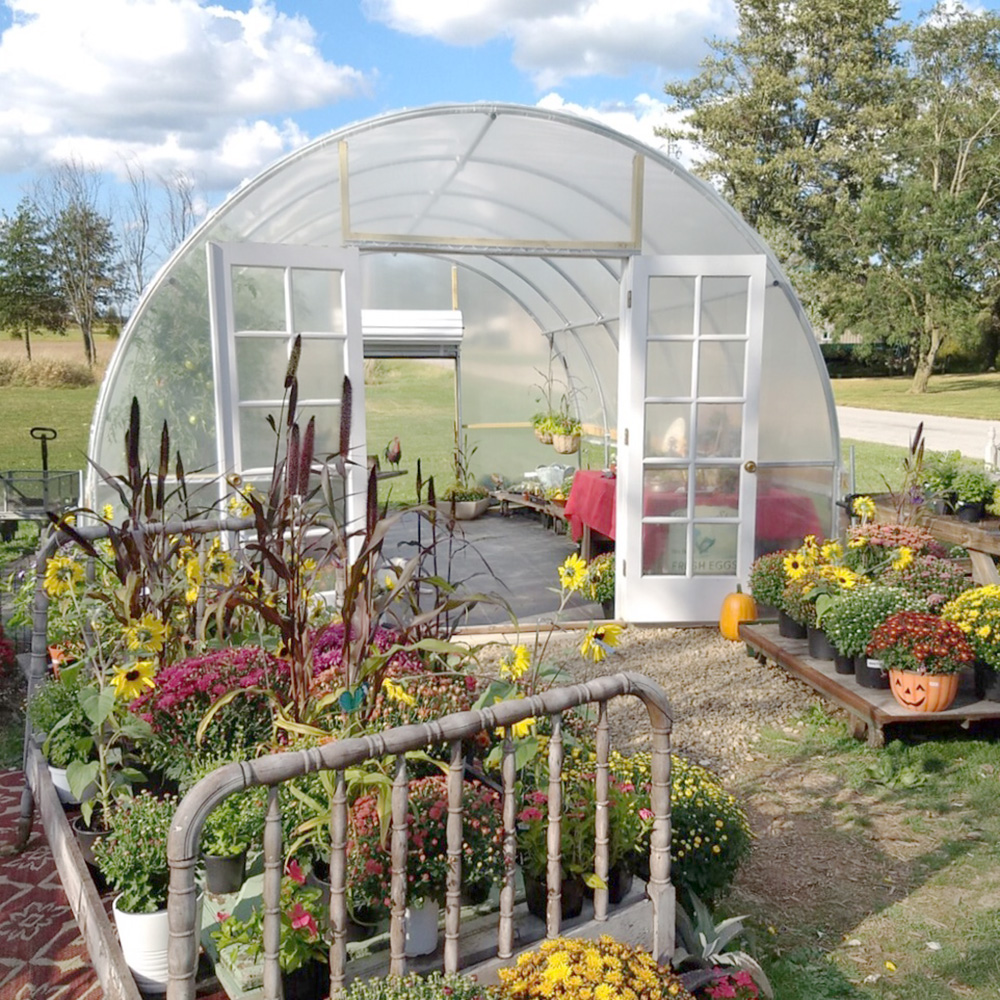Greenhouse Hoop House In Fall