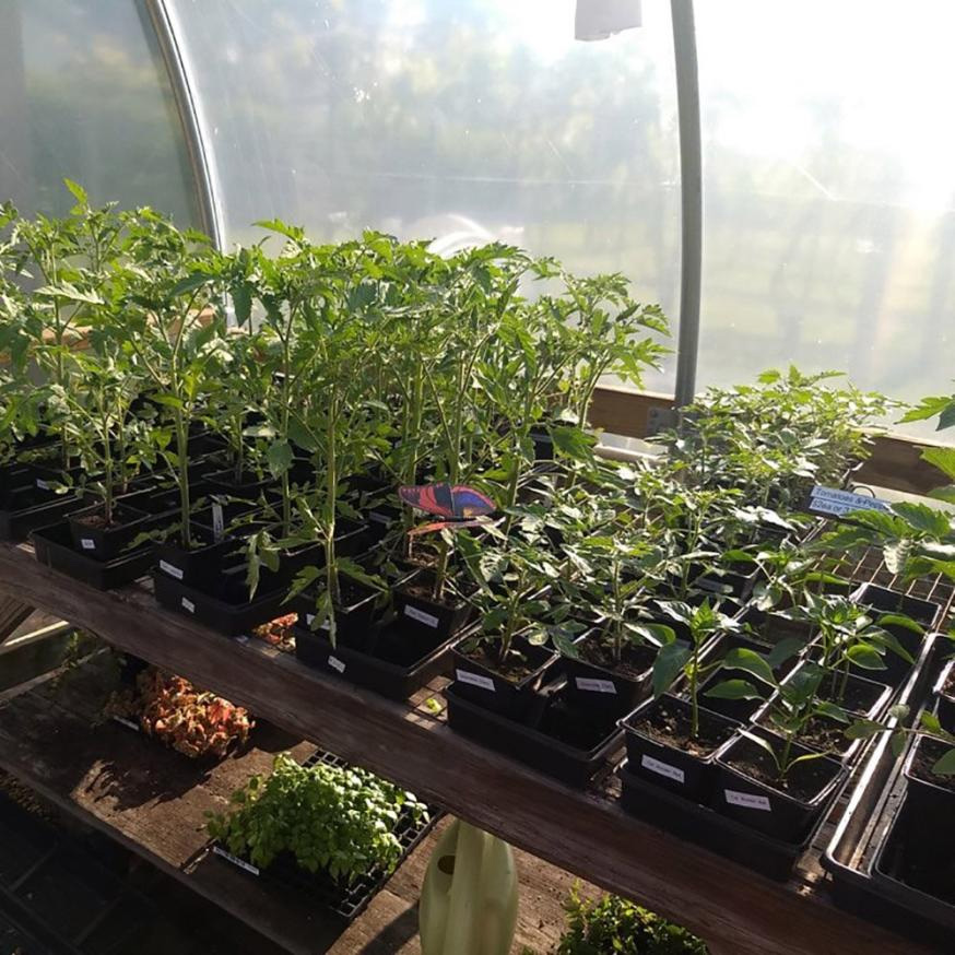 How to Build a Hoop House