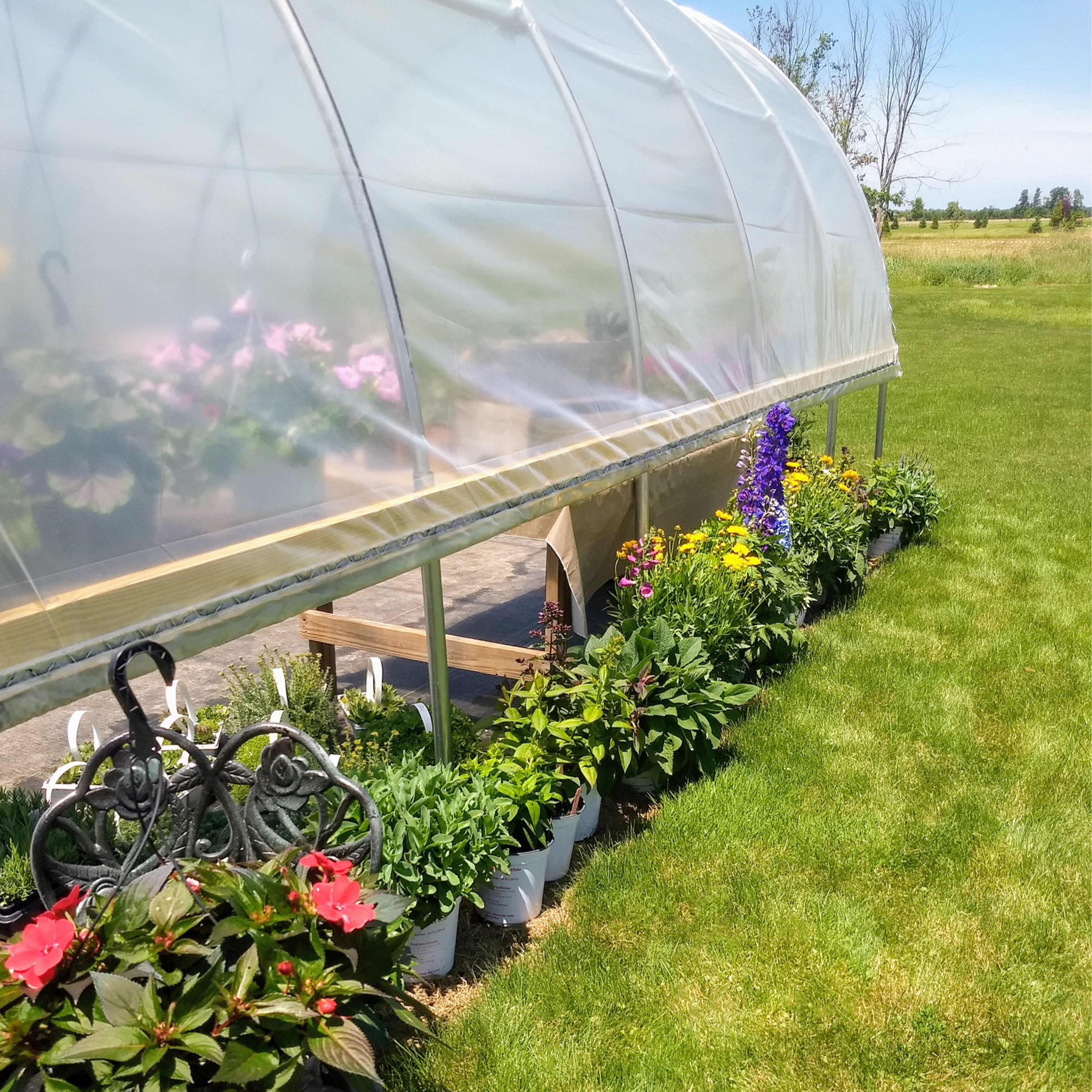 greenhouse installation image form outside with greenery