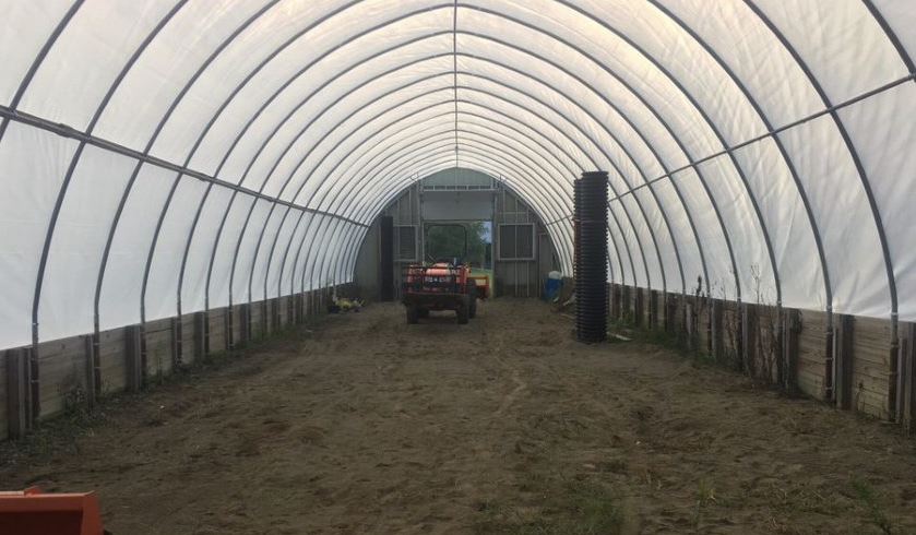 inside of greenhouse