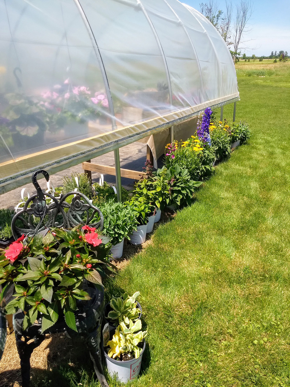 Roll Up Sidewall Of Hoop House