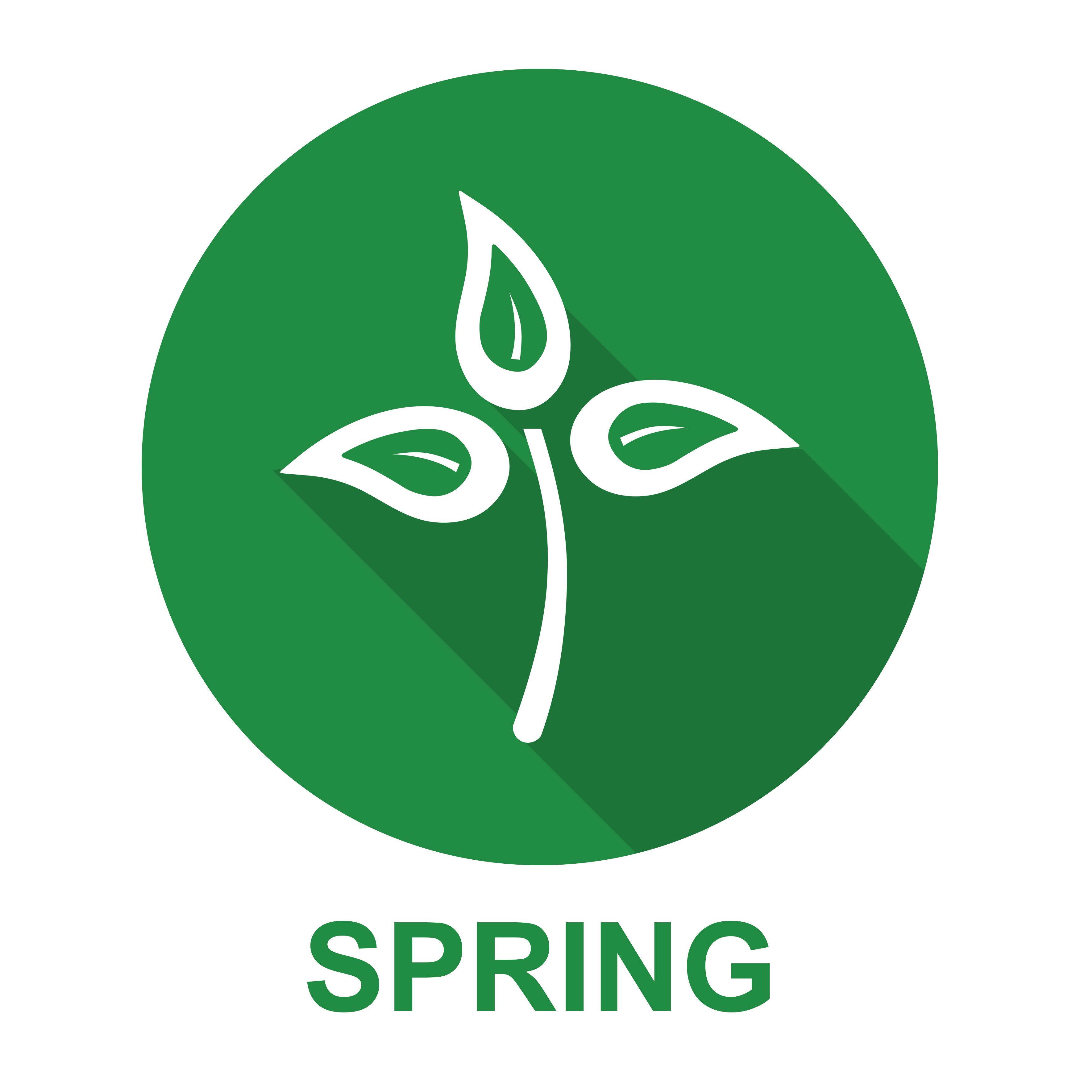 spring plant graphic