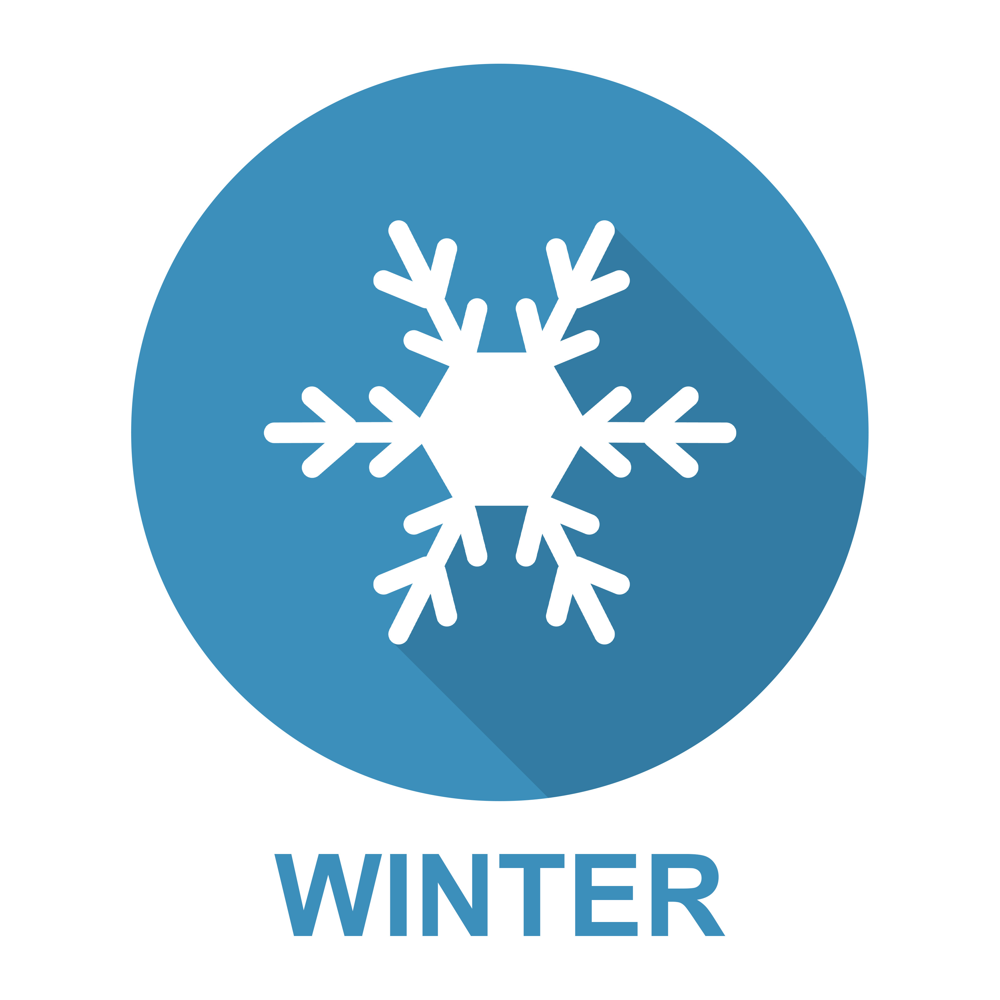 winter snowflake graphic